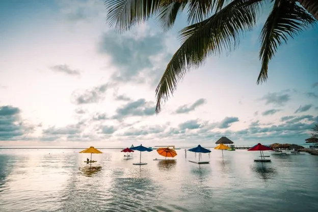 Colorful beach umbrellas standing in the calm shallow water off Ambergris Caye at sunset, framed by palm fronds